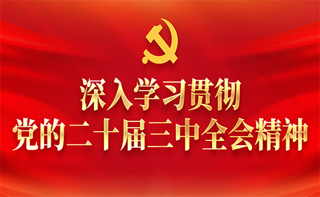 深入学习贯彻党的二十届三中全会精神
